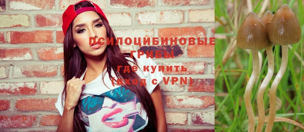 молекула духа Балабаново