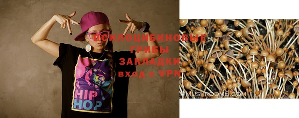 амфетамин Белокуриха