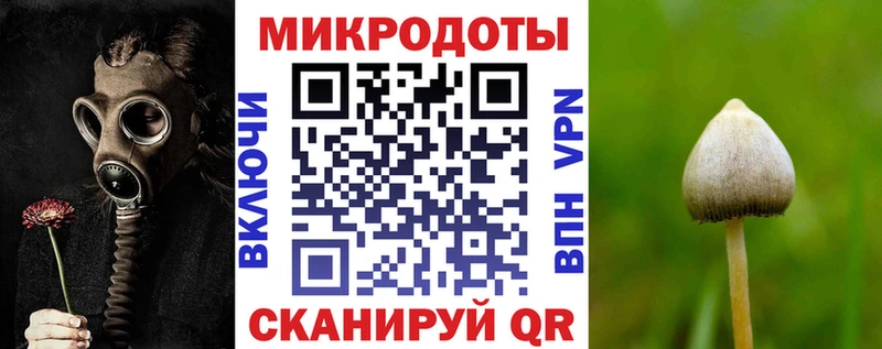 Галлюциногенные грибы Psilocybine cubensis  Михайловск 